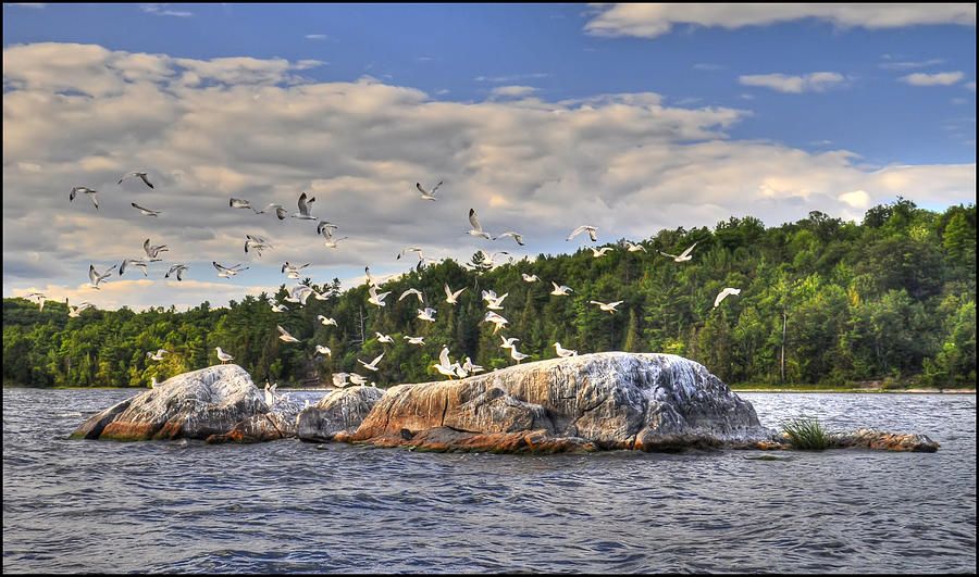 Ontario Cottage Country Photograph by Geraldine Alexander