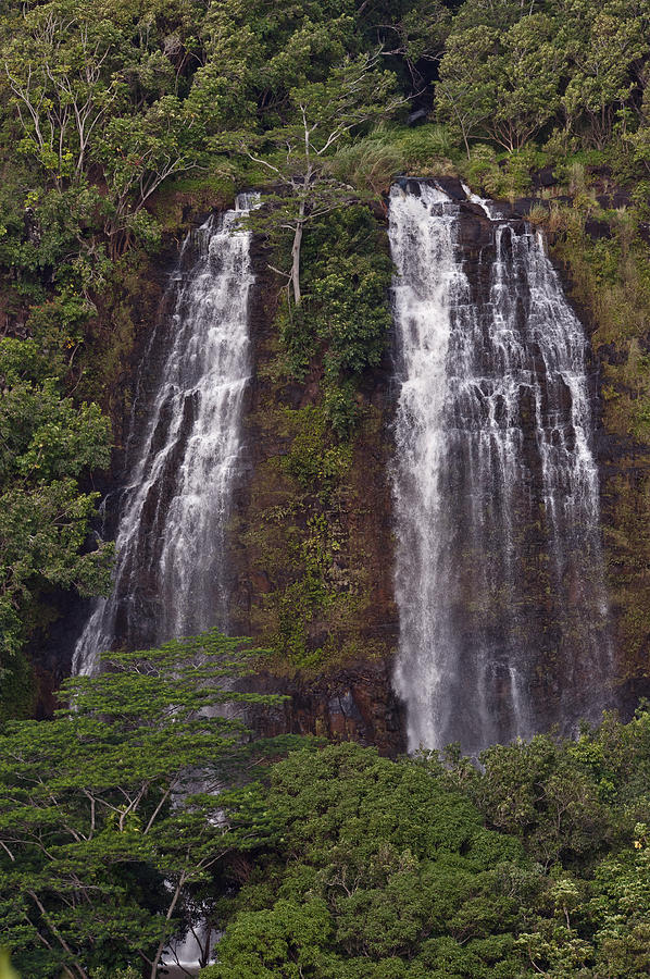 Tree Photograph - Opaekaa Falls Kauai by Marek Poplawski