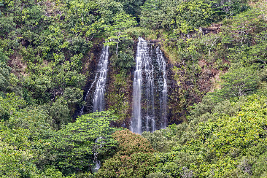 Opaekaa falls Kauai Photograph by Pierre Leclerc Photography