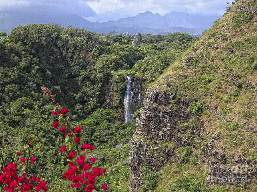 Opaekaa Falls Kauai Photograph by Timothy Hacker