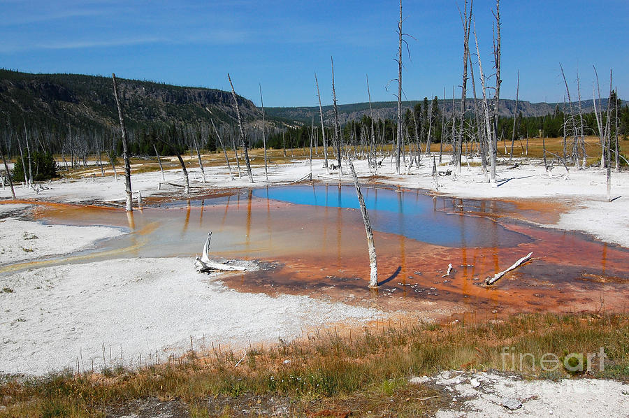 Opalescent Pool Yellowstone Photograph by Debra Thompson