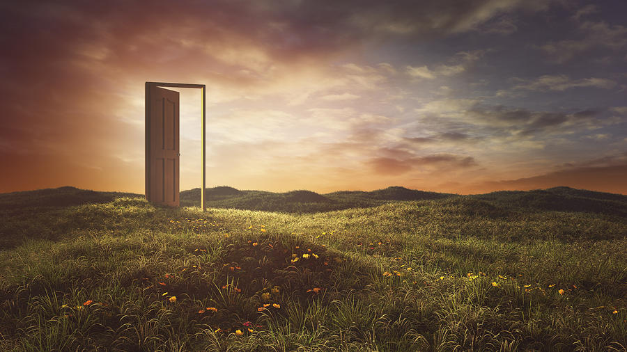 Open doors on the summer meadow Photograph by Matjaz Slanic