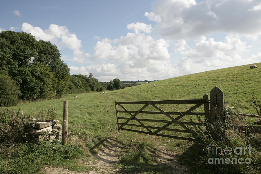 Open Gate Photograph by Paul Felix - Fine Art America