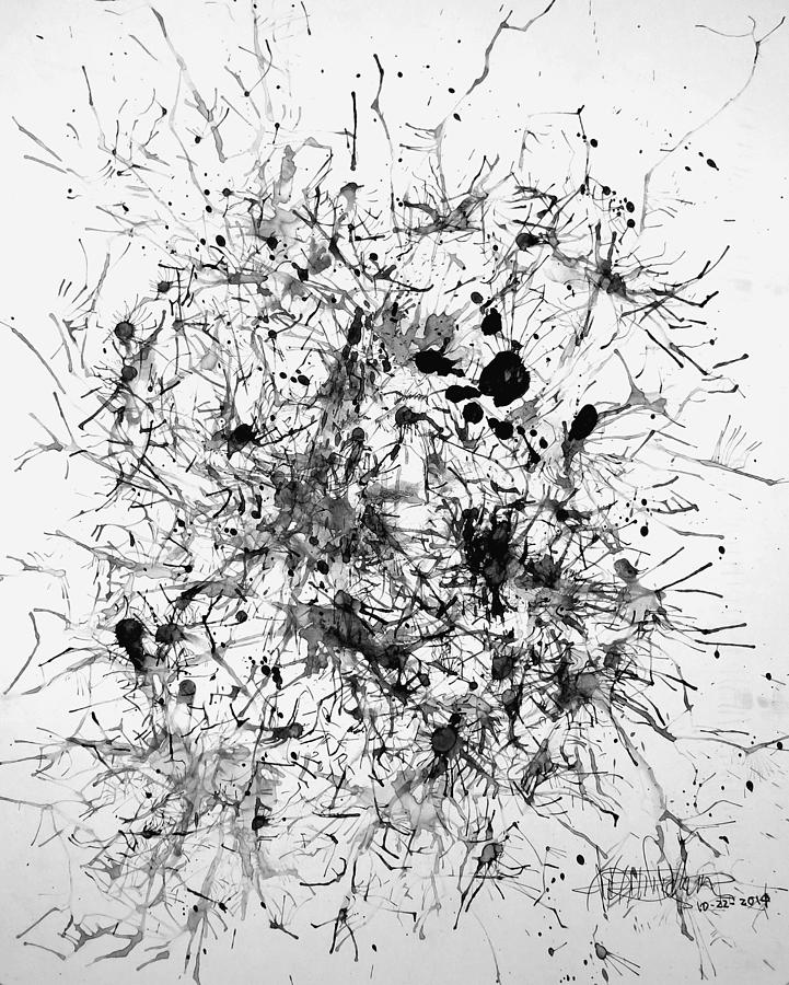 Open Mind 1 Photograph by ADT Gallery - Fine Art America
