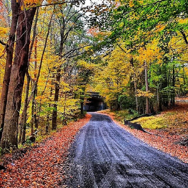 Fall Photograph - #open #road #fall #foliage #leaf by Antonio DeFeo