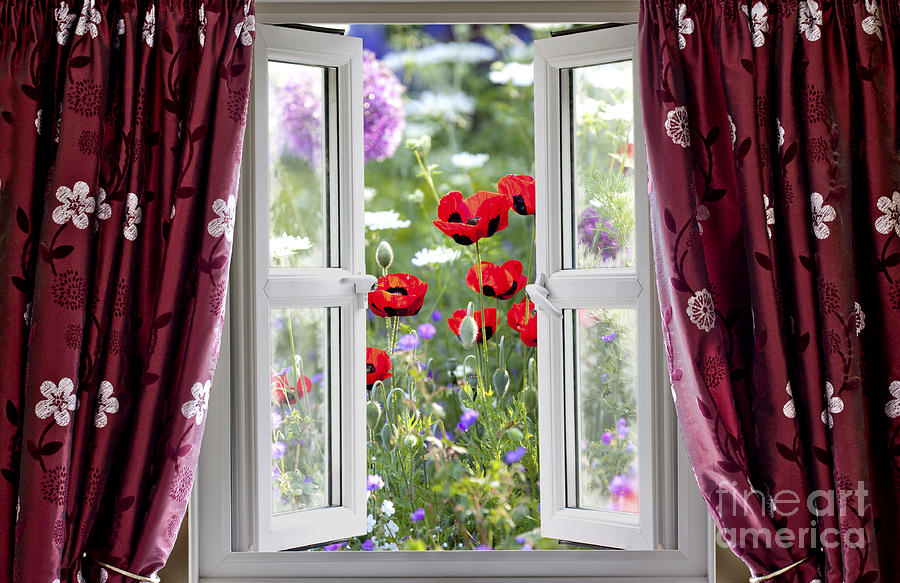 Open window view onto wild flower garden Photograph by Simon Bratt