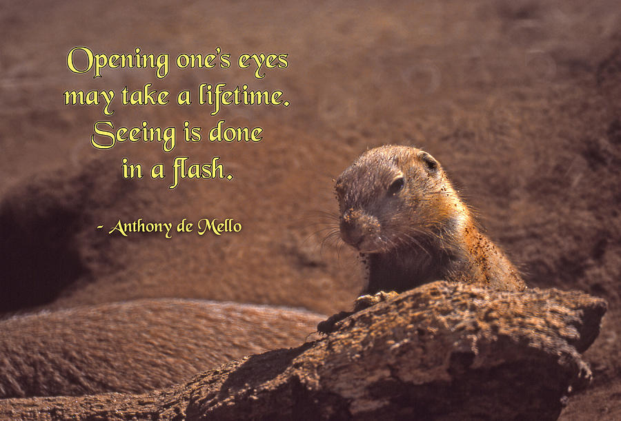Prairie Dog Photograph - Opening Ones Eyes by Mike Flynn
