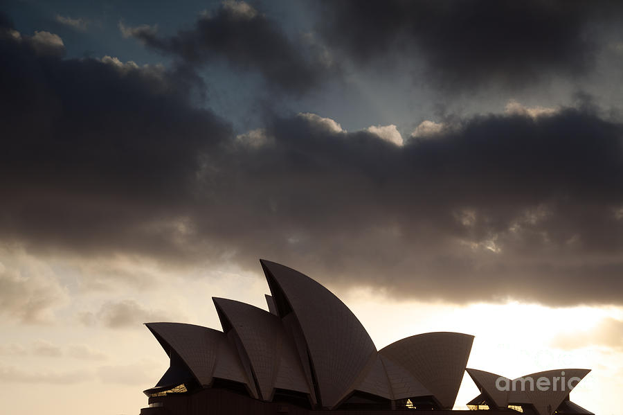 Opera house at sunrise Sydney Photograph by Matteo Colombo