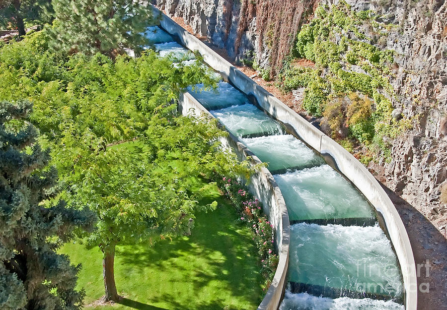 Operational Fish Ladder Rocky Reach Dam Photograph by