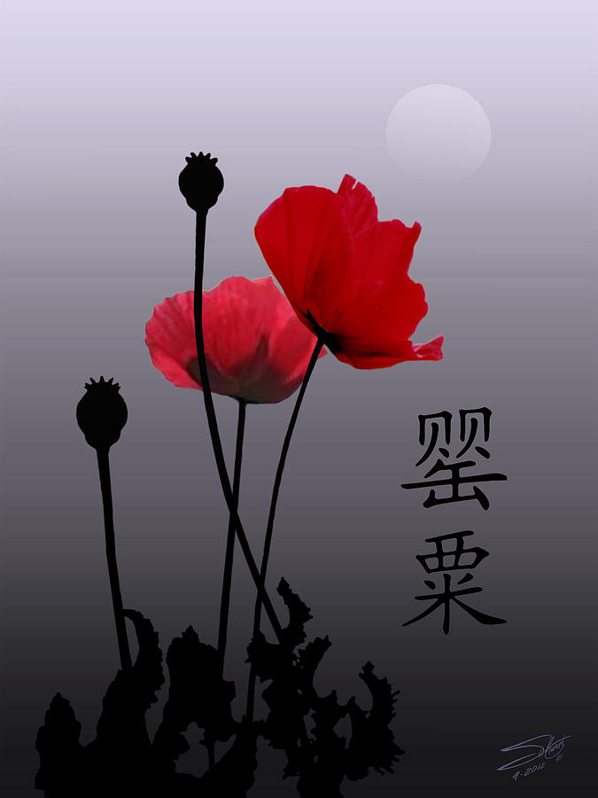 Opium Poppies in Moonlight  Painting by M Spadecaller