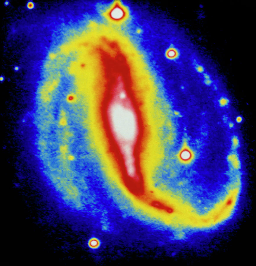 Optical Ccd Image Of The Barred Galaxy Ngc 7479 Photograph by Dr Rudolph Schild/science Photo Library