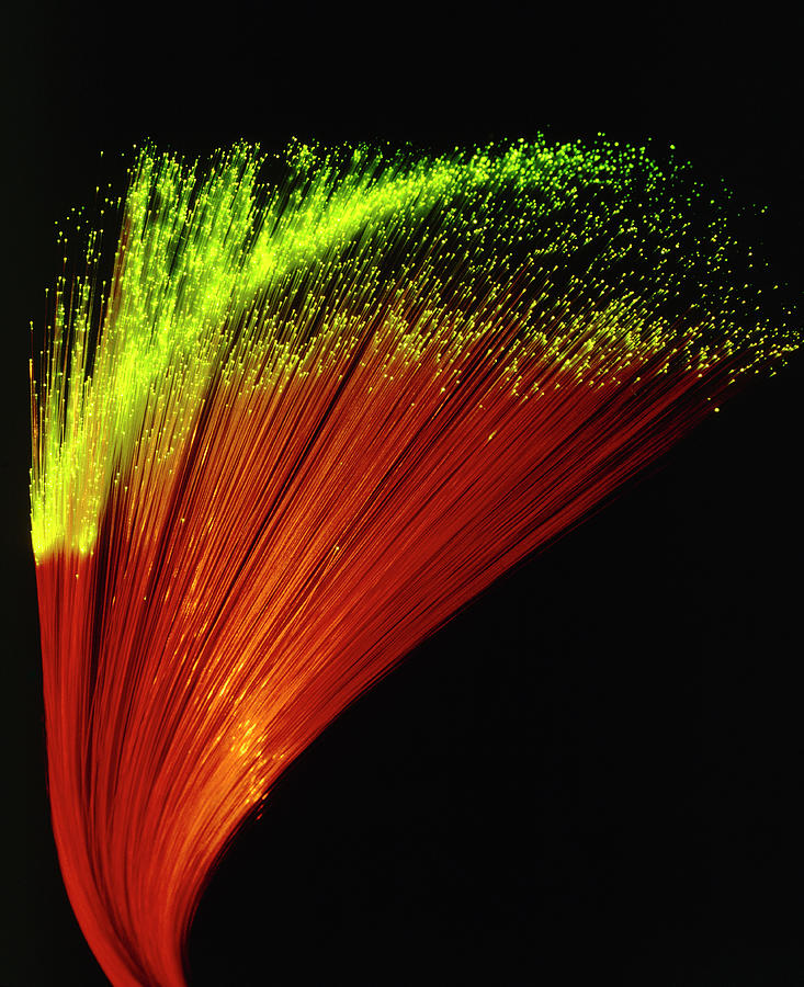Optical Fibres Photograph by Adam Hart-davis/science Photo Library
