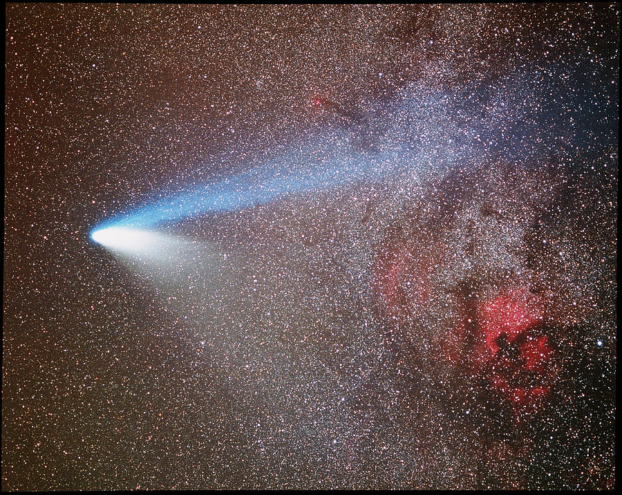 Optical Image Of Comet Hale-bopp Photograph by Tony & Daphne Hallas/science Photo Library