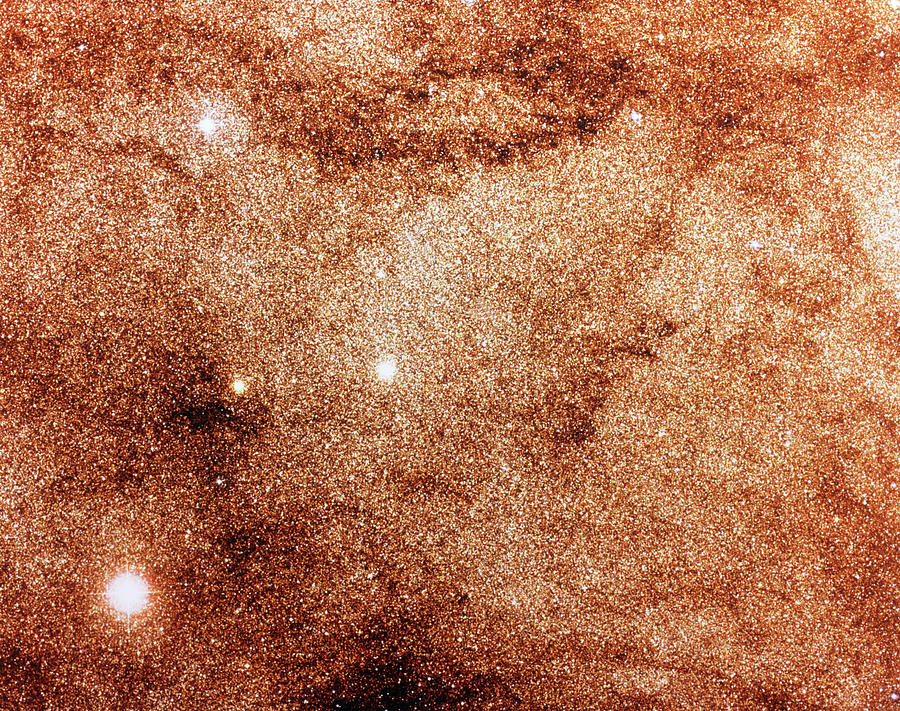 Optical Image Of Dense Stellar Field In Milky Way Photograph by Royal Observatory, Edinburgh/aatb/science Photo Library