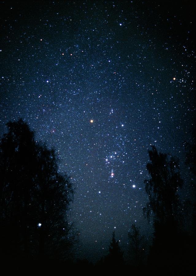 Optical Image Of The Constellation Orion And Trees Photograph by Pekka Parviainen/science Photo Library