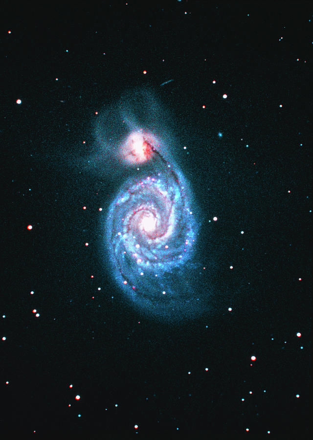 Interacting Galaxies Photograph - Optical Image Of The Whirlpool Galaxy (m51) by Tony & Daphne Hallas/science Photo Library