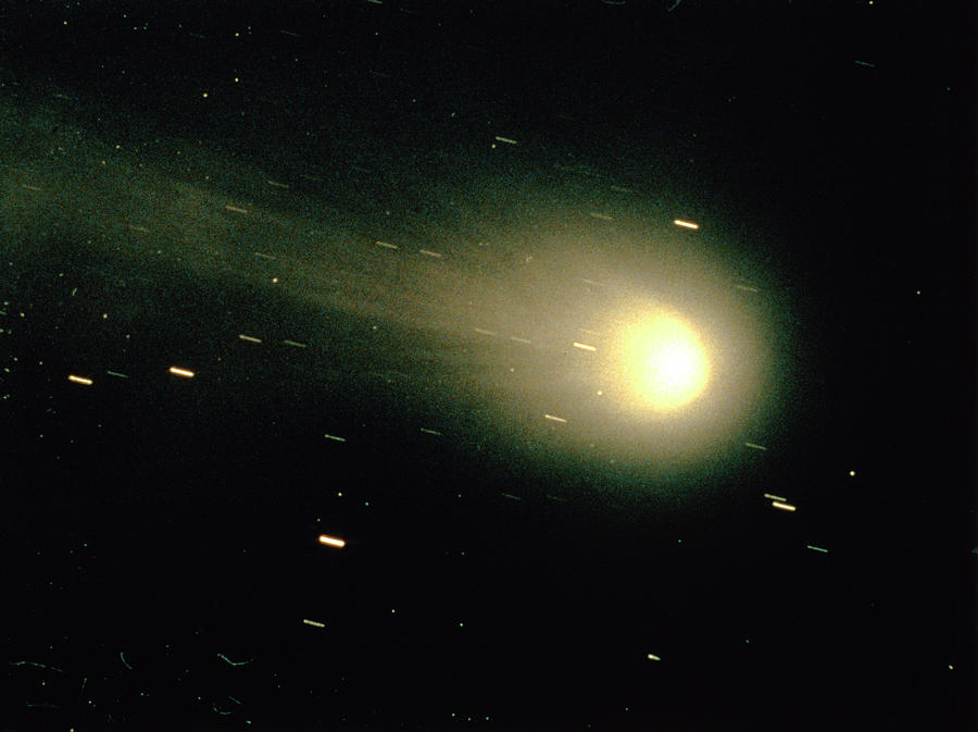 Optical Photo Of Halleys Comet Photograph by Nasa/science Photo Library