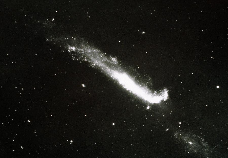 optical-photo-of-peculiar-galaxy-ngc-4656-57-photograph-by-noao-science