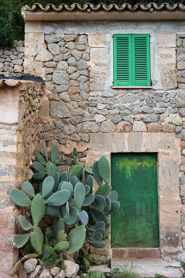 Opuntia Cactus And Green Door Photograph by Holger Leue