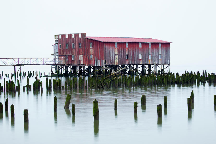 Spring Photograph - Or, Astoria, Old Fish Cannery by Jamie and Judy Wild