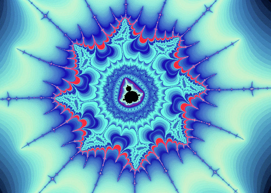 oracle - Mandelbrot Set Fractal Photograph by Gregory Sams/science Photo Library