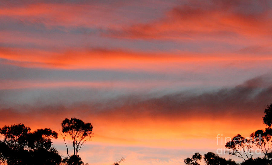 Sunset Photograph - Orange and Blue Sunset by Tristyn Lau