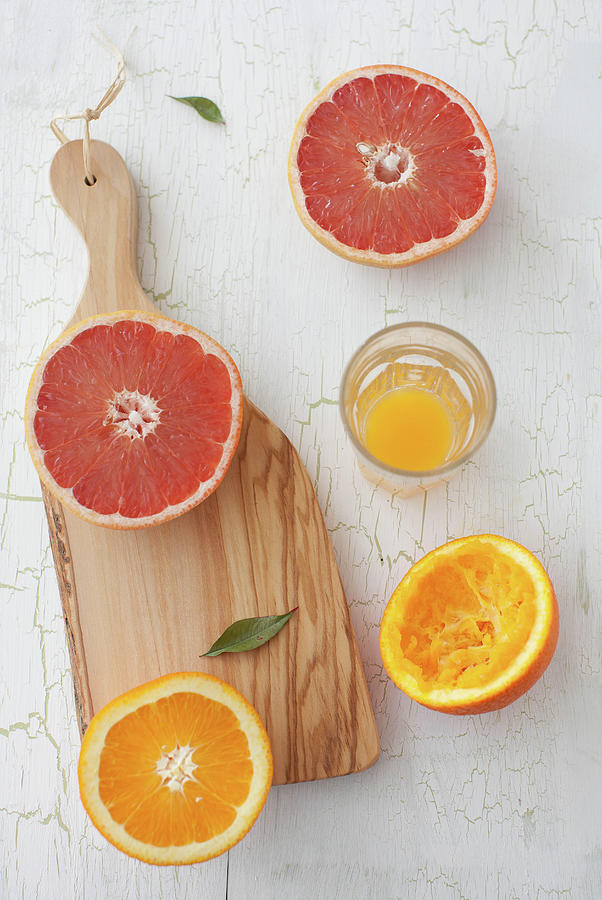Orange And Grapefruit Photograph by Yelena Strokin