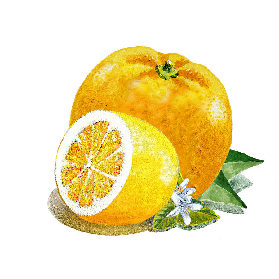 Orange And Lemon Citrus Bunch Painting by Irina Sztukowski