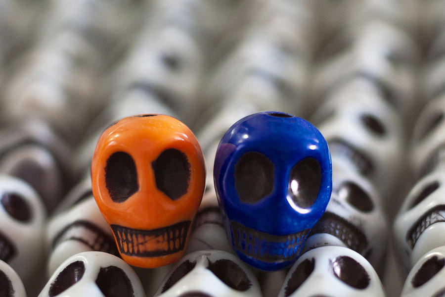 Skull Photograph - Orange And Navy Blue by Mike Herdering