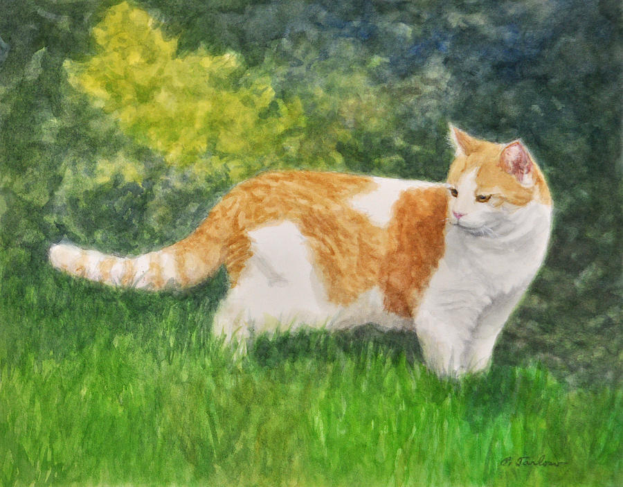 Orange And White Cat In Grass Painting by Phyllis Tarlow