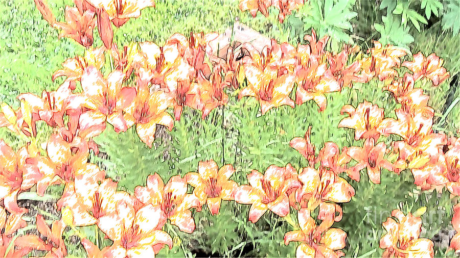 Orange Asiatic Lilies Mixed Media by Beverly Guilliams