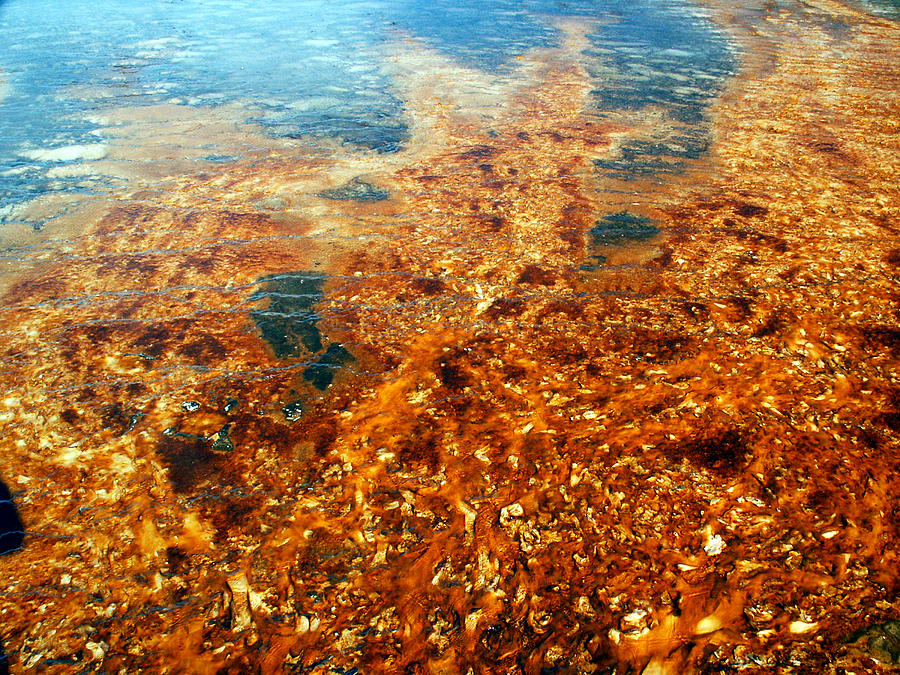 Orange Bacteria Mat by Tarey Potter Orange Bacteria Mat by Tarey Potter