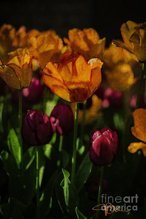 Orange Beauties Tulip Floral Art Painting by Jani Bryson