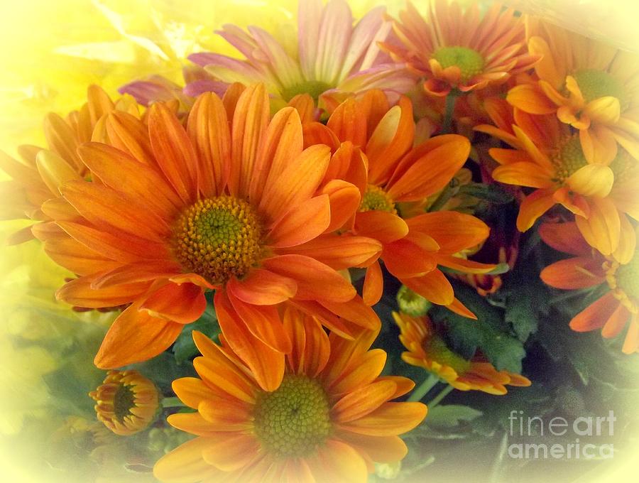 Flower Photography - Orange Beauty Photograph by Miriam Danar