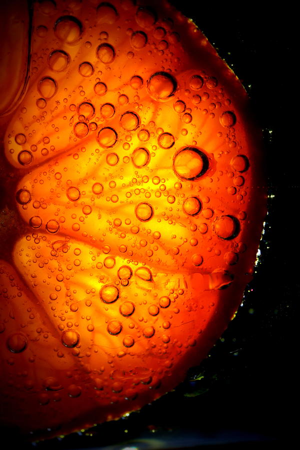 Orange Bliss Photograph by Nigel Killeen