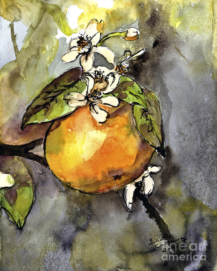 Orange Blossom Botanical Watercolor and Ink by Ginette Painting by Ginette Callaway