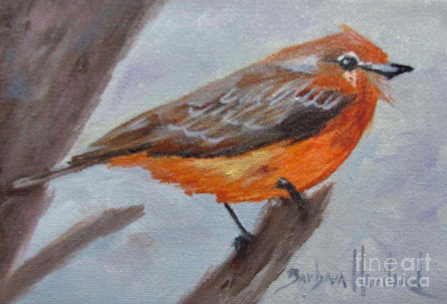 Orange Breasted Bird Painting by Barbara Haviland