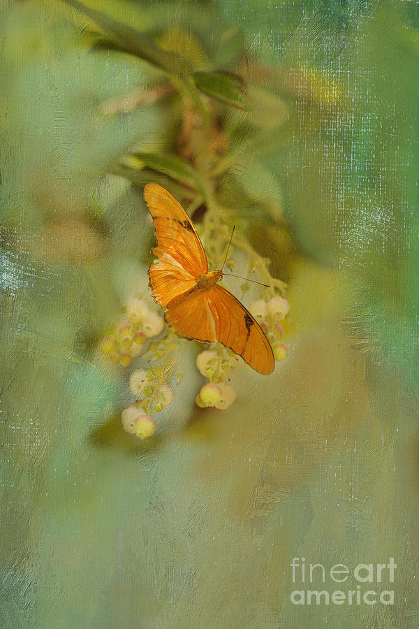 Orange Butterfly on Bell Flowers Photograph by Susan Gary