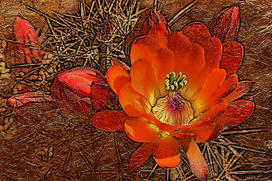 Orange Cactus Flower Gold Leaf Photograph by Phyllis Denton