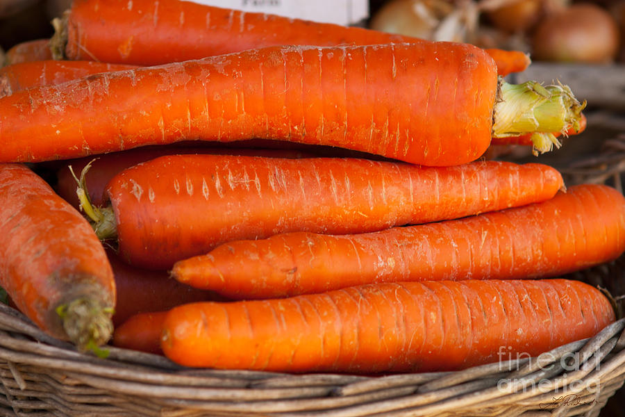 Orange Carrots Photograph by Iris Richardson