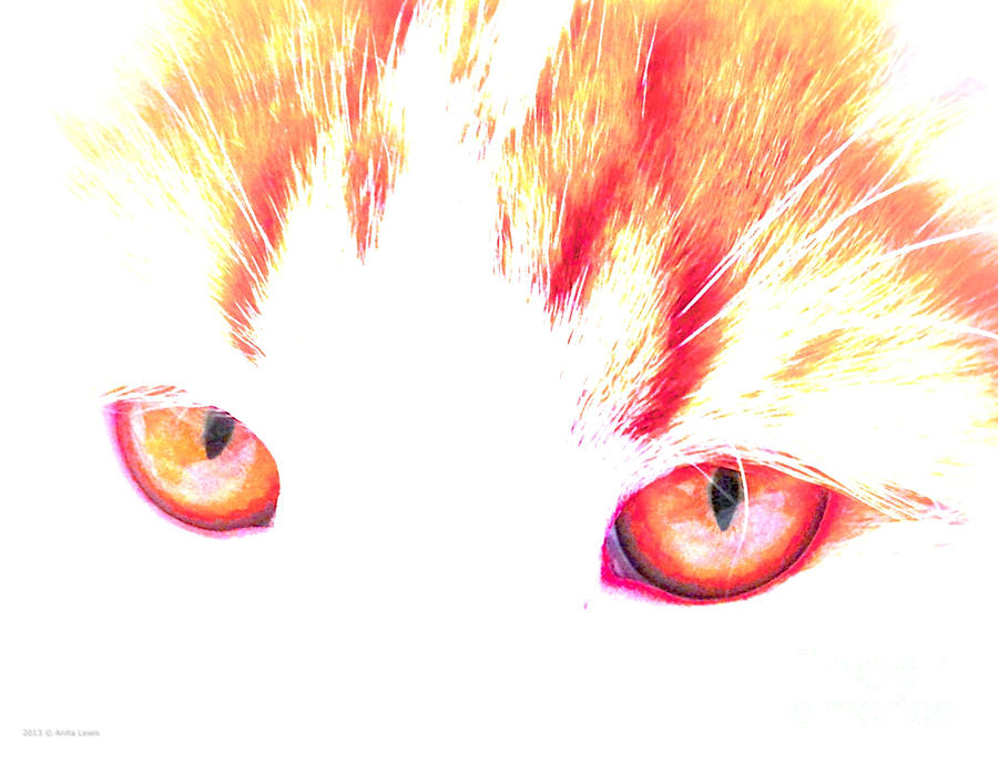 Orange Cat Eyes Photograph by Anita Lewis