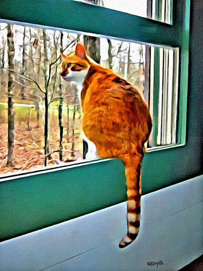 Cat Photograph - Orange Cat in Window by Rebecca Korpita