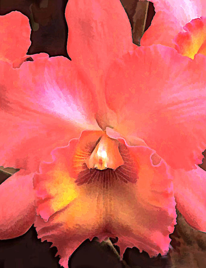 Orchid Painting - Orange Cattleya Orchid by Elaine Plesser