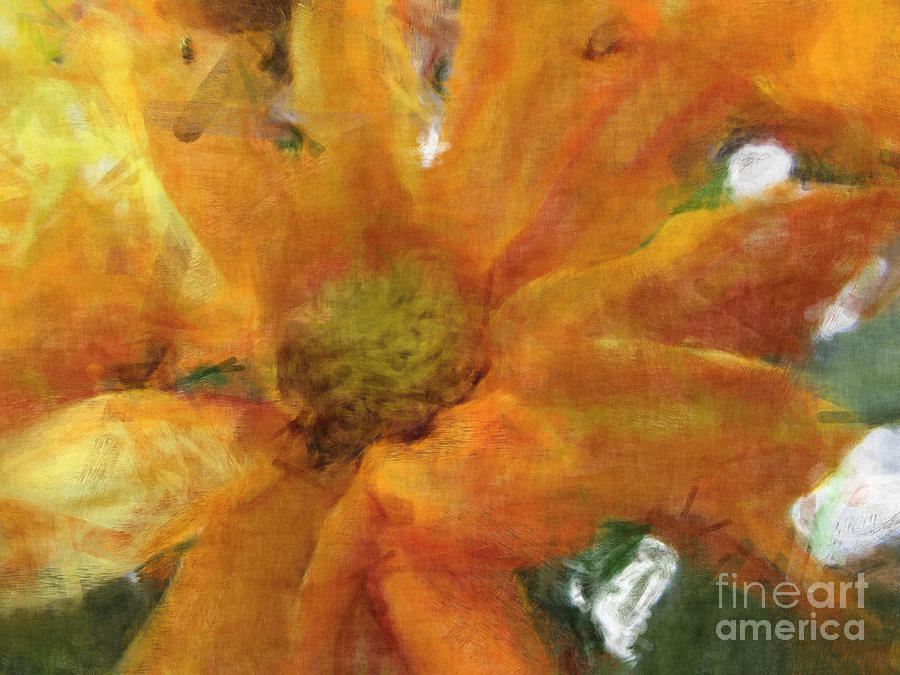 Nature Photograph - Orange Chrysanthemem photoart by Debbie Portwood