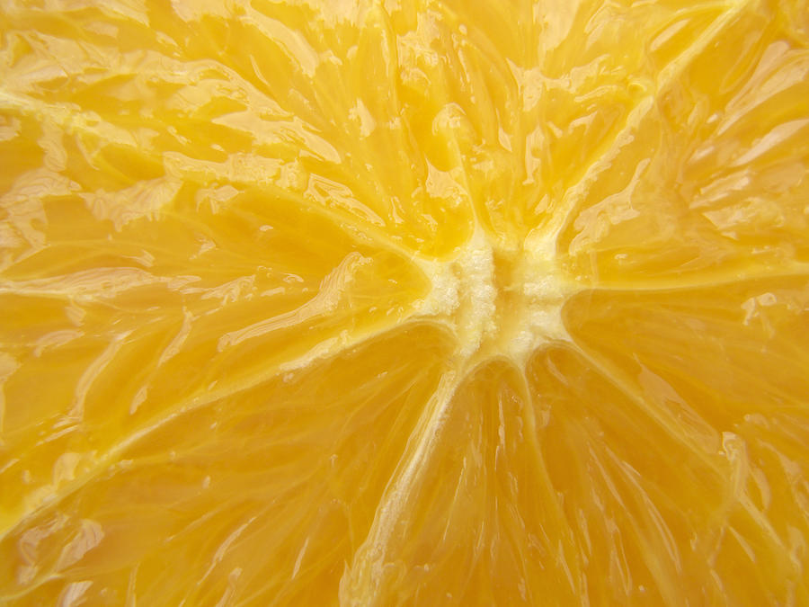 Orange Closeup Photograph by Matthias Hauser