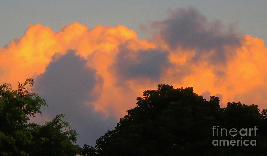 Orange Cloud Sunset Photograph by Robert Birkenes