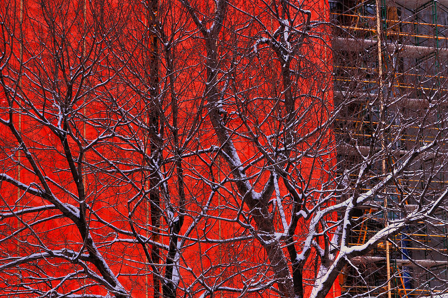 Tree Photograph - Orange Construction Tarp  by Jim Vance