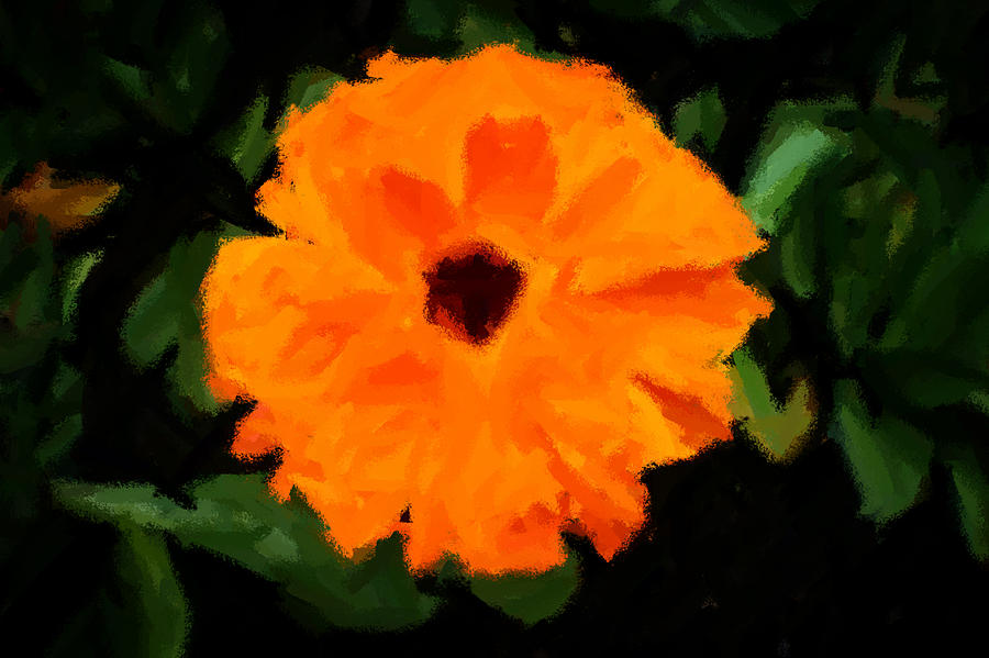 Orange Country Flowers - Impressionist Series Painting by Doc Braham