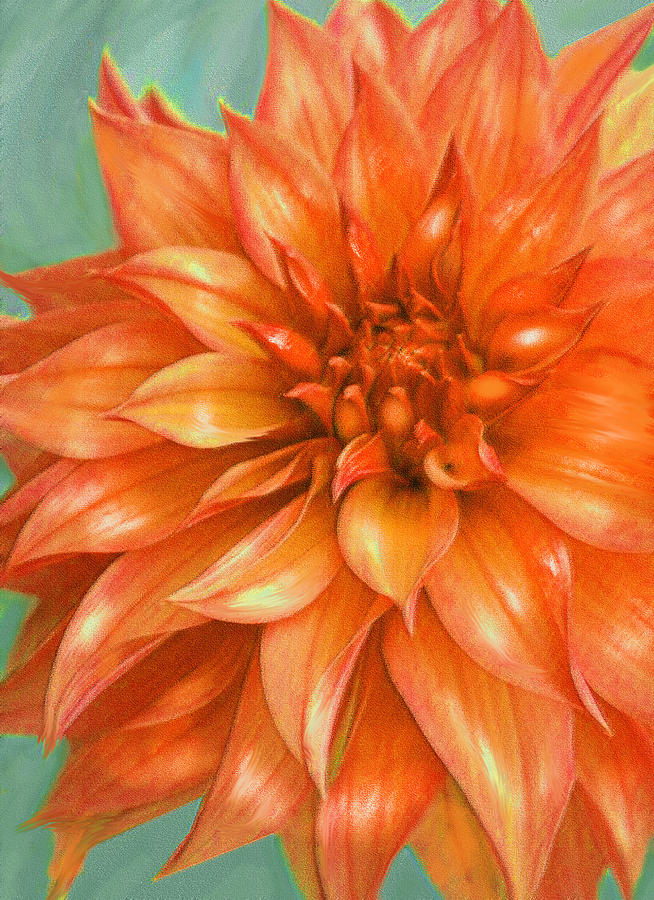 Orange Dahlia Digital Art by Jane Schnetlage