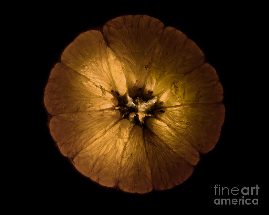 Abstract Photograph - Orange by David Rucker
